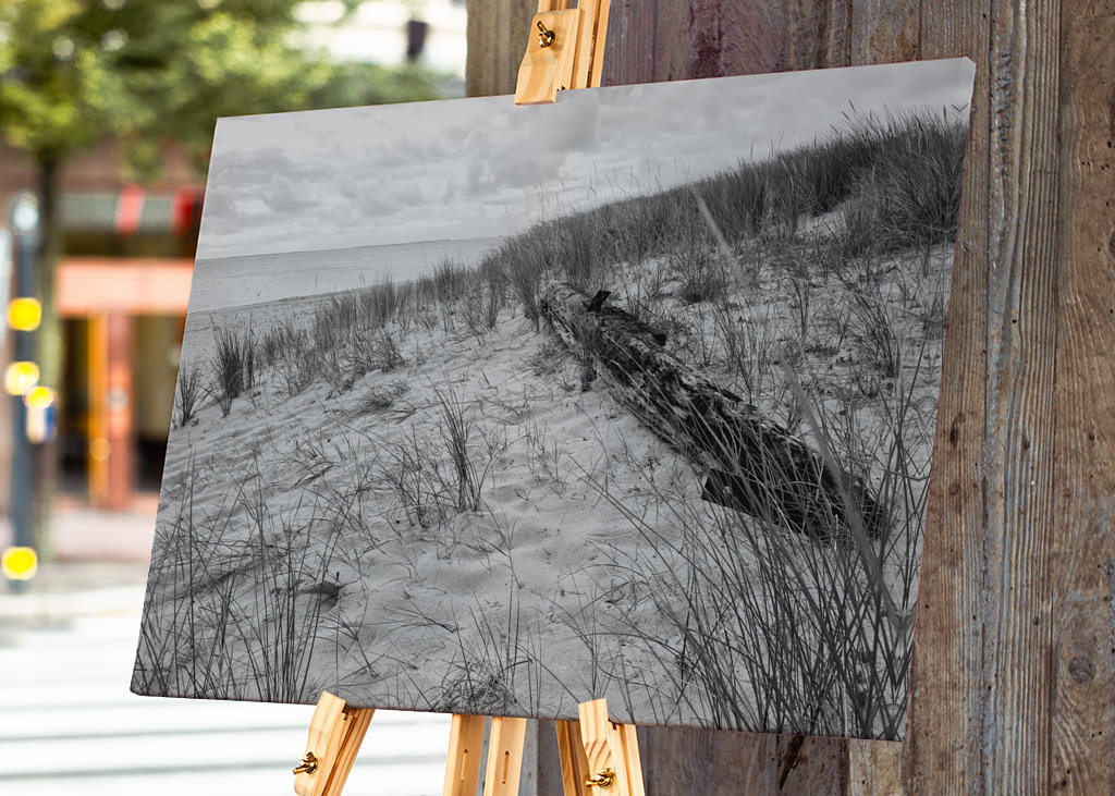 Naplavené drevo na pláži