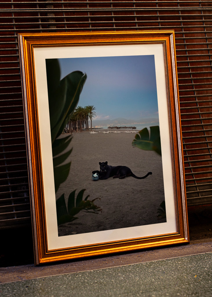 Got some nice (disco) balls