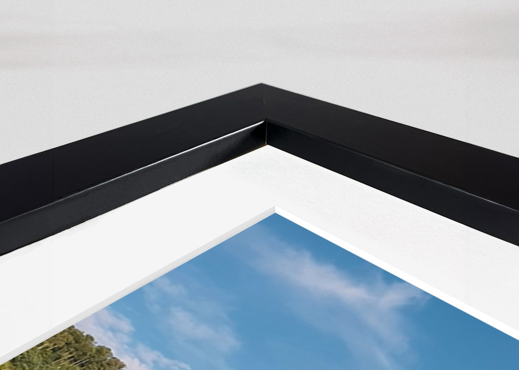 Heidelbergs castle in Germany 