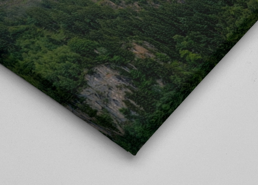 Castillo de Neuschwanstein - Niebla