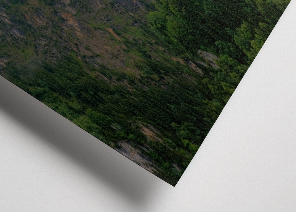 Castillo de Neuschwanstein - Niebla