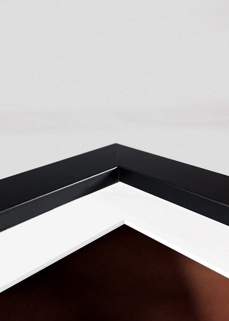 Coccinelle sur la fleur d’une Kroko