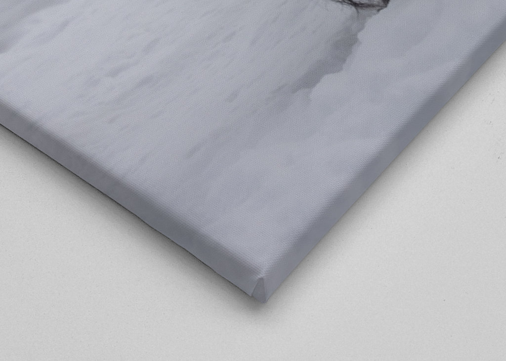 Shettlands Ponys im Schnee