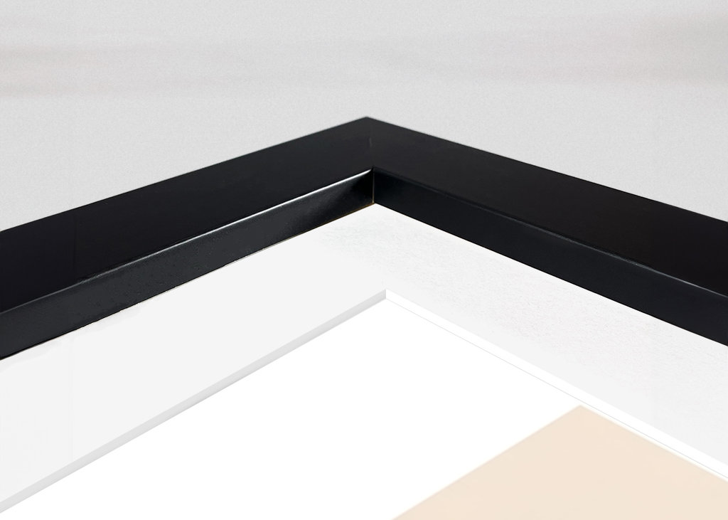 Die Familienbande von Fox