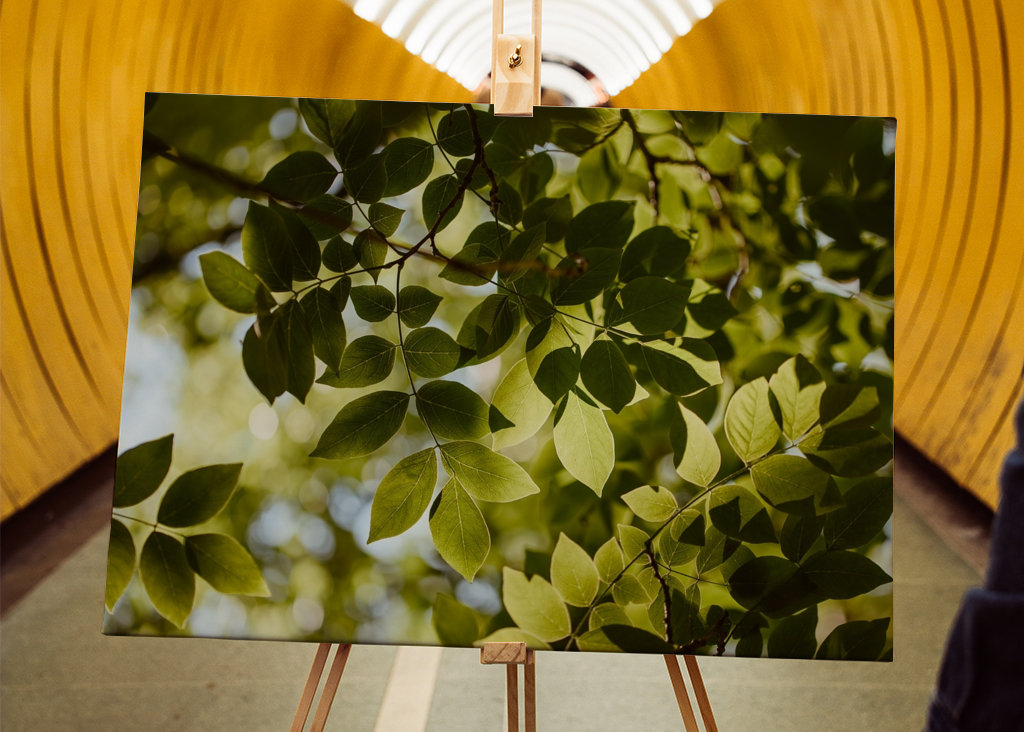 Pohled skrz zelené listí