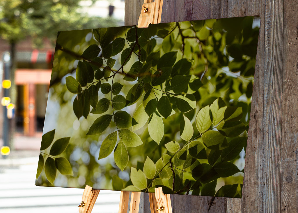 Pohled skrz zelené listí