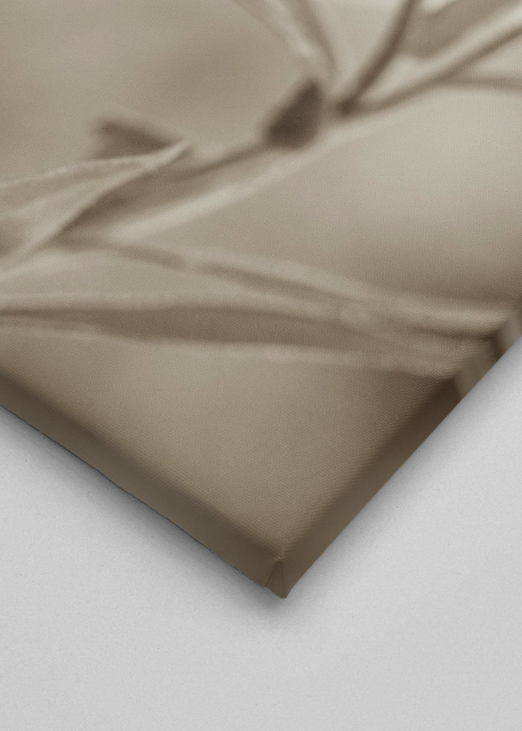 Fokuser på en enkelt blomst