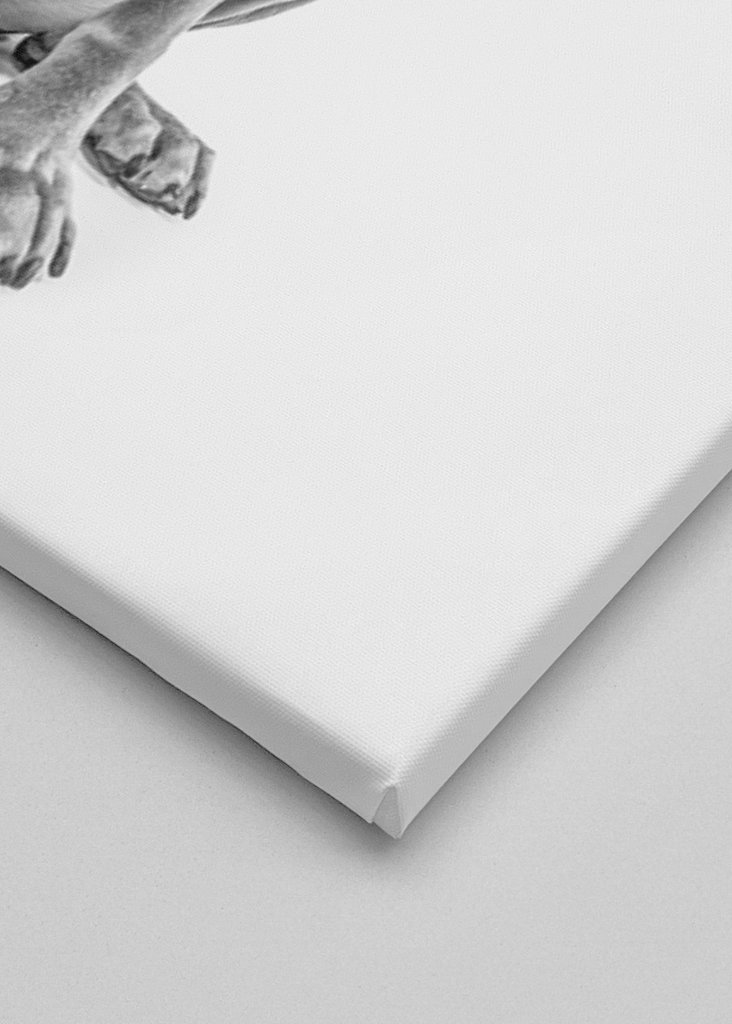 Stor hund med lille ven