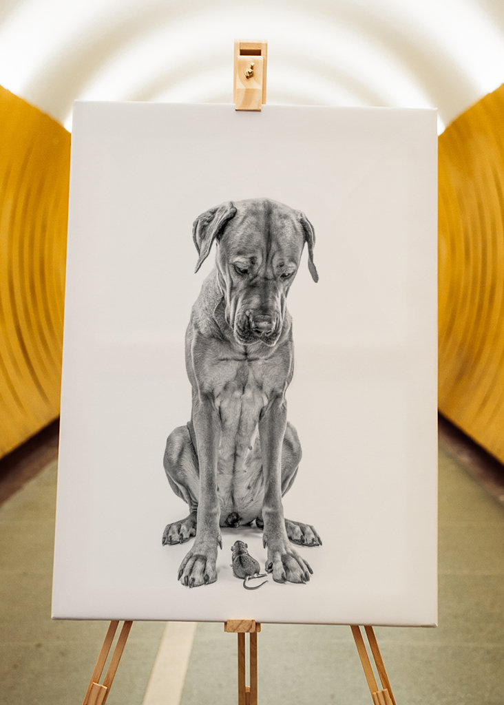 Stor hund med lille ven