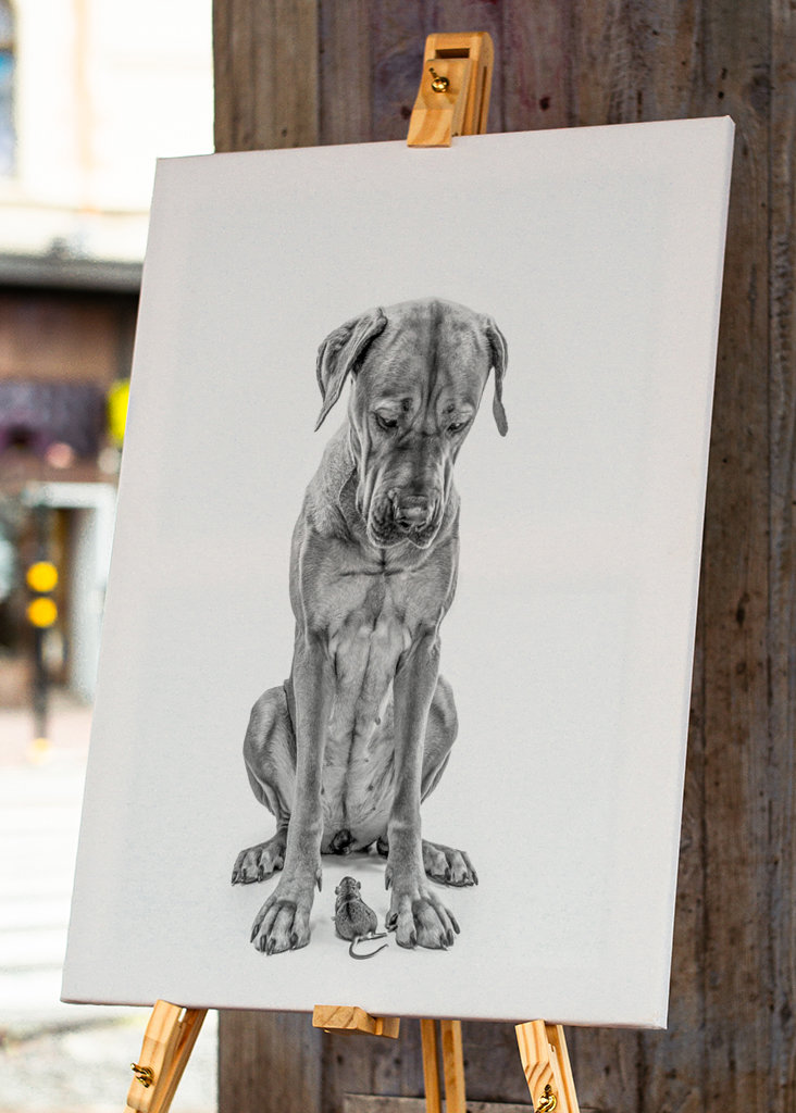 Stor hund med lille ven