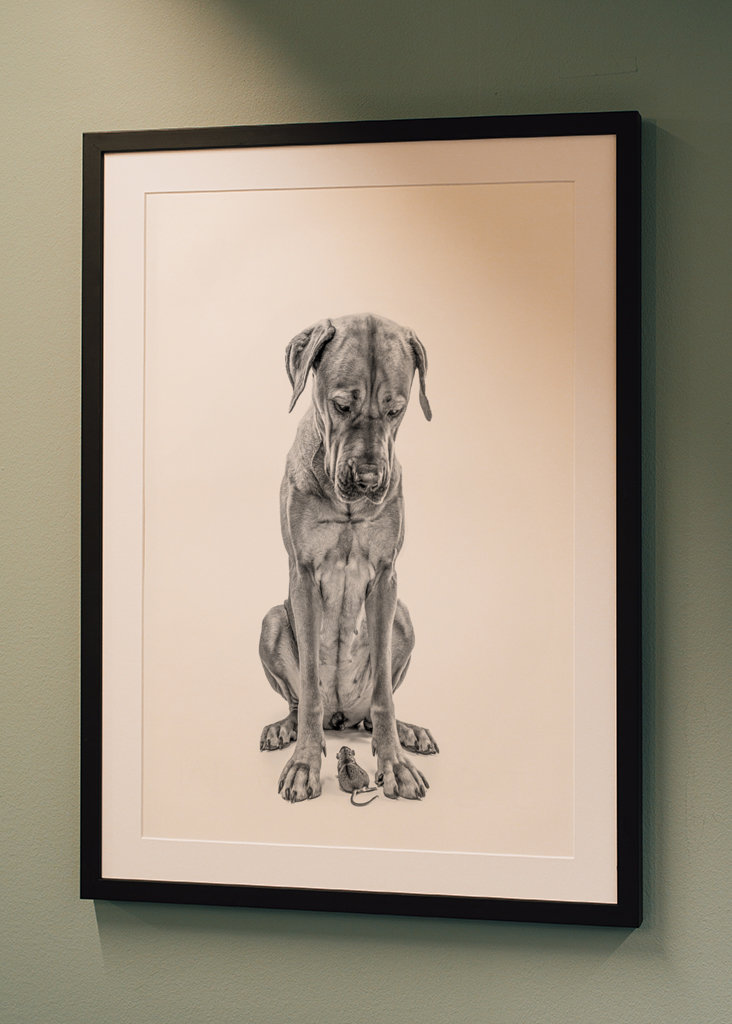 Stor hund med lille ven