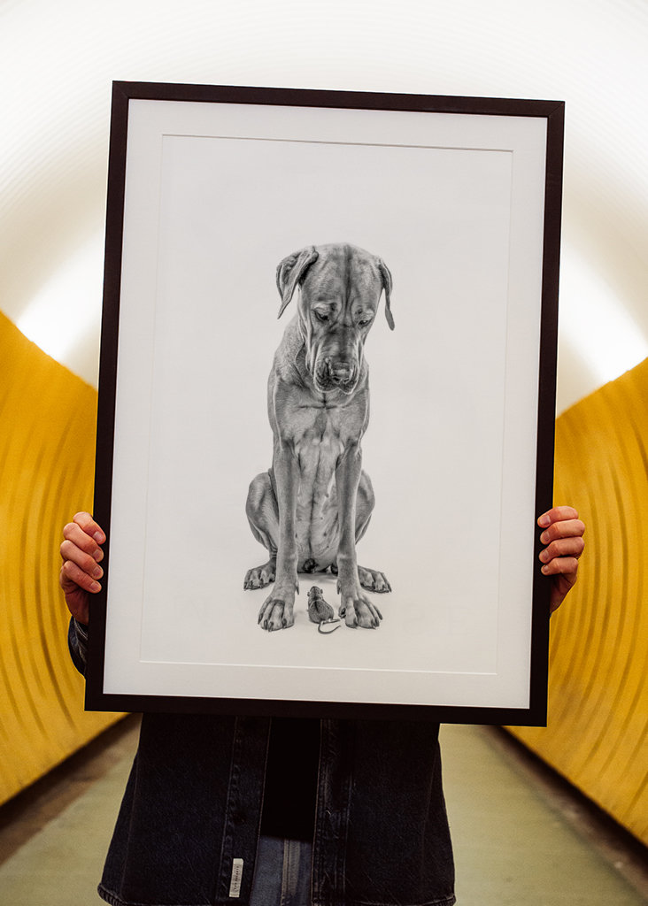 Stor hund med lille ven