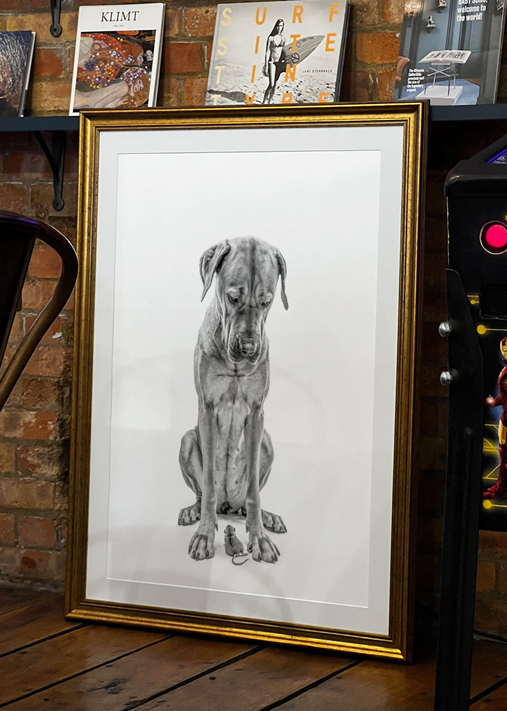 Stor hund med lille ven