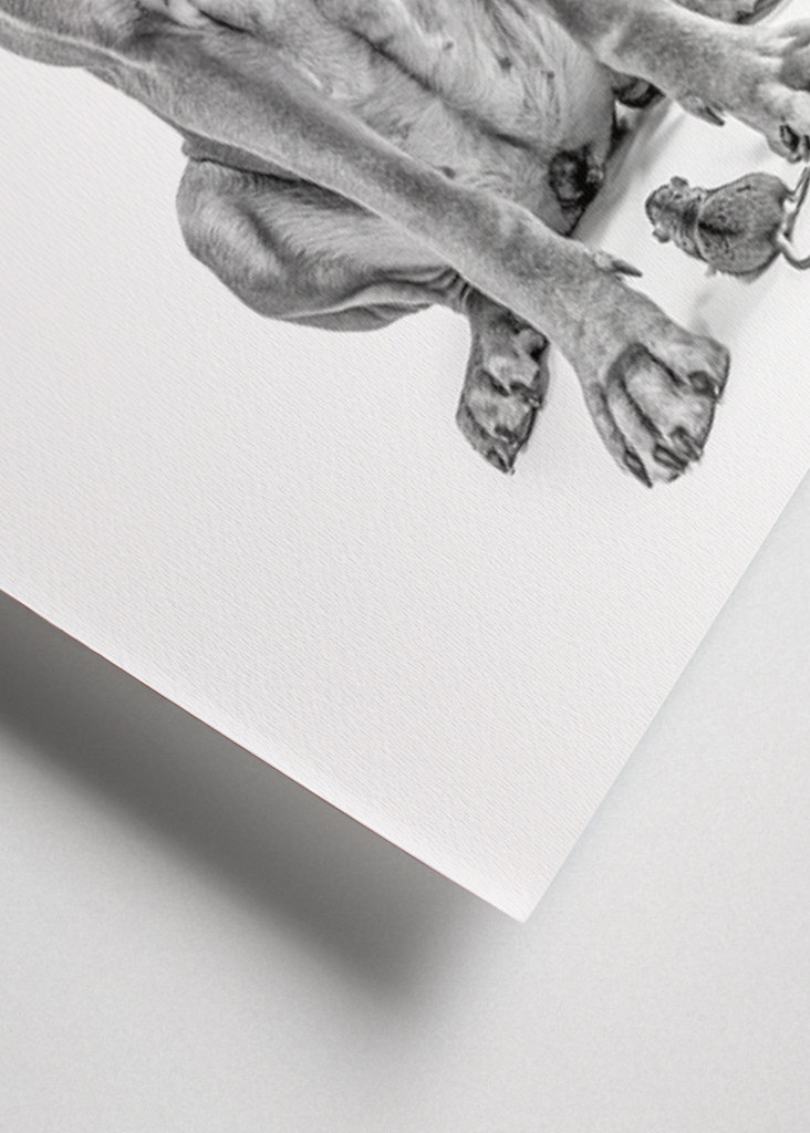 Stor hund med lille ven