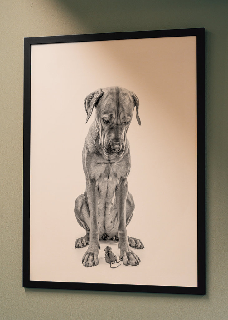 Stor hund med lille ven