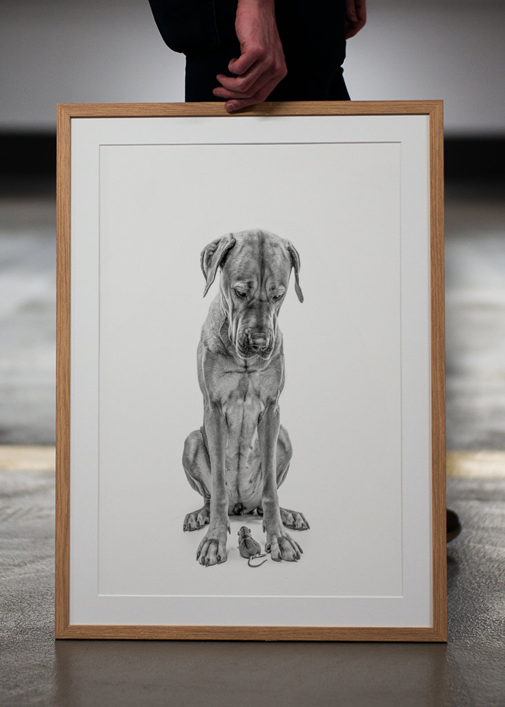 Stor hund med lille ven