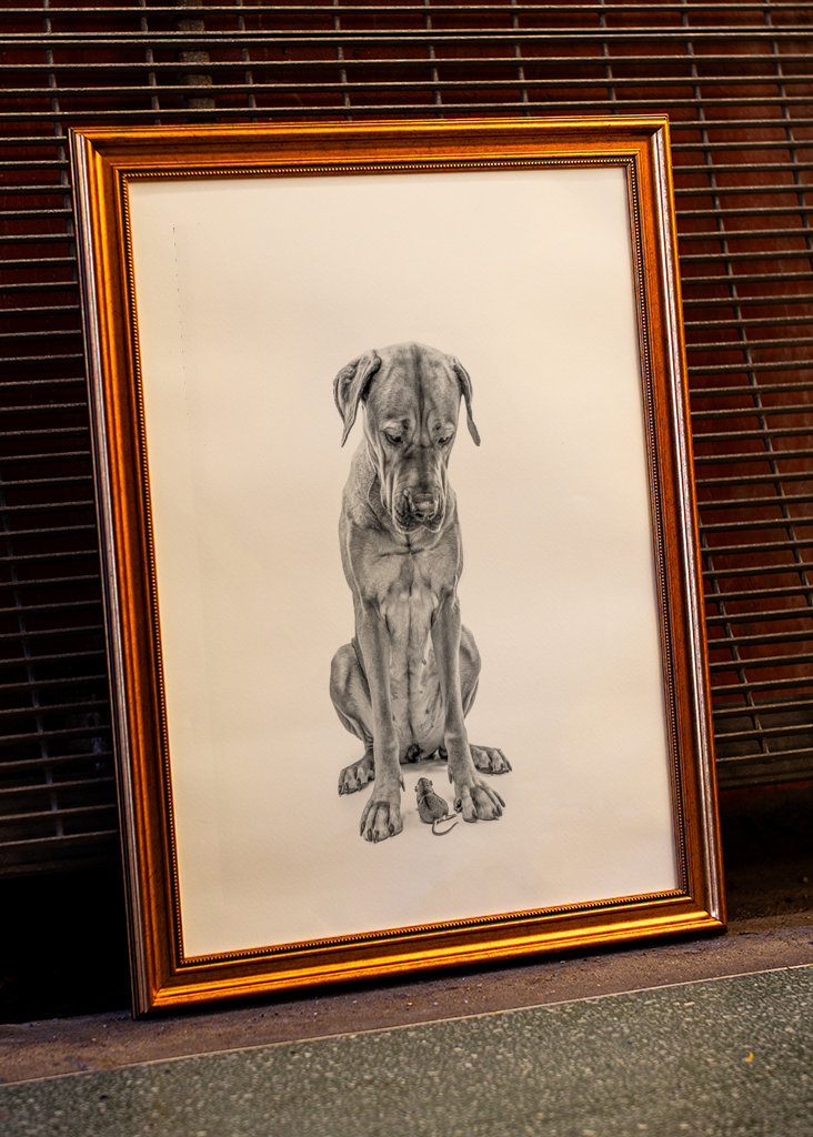 Stor hund med lille ven