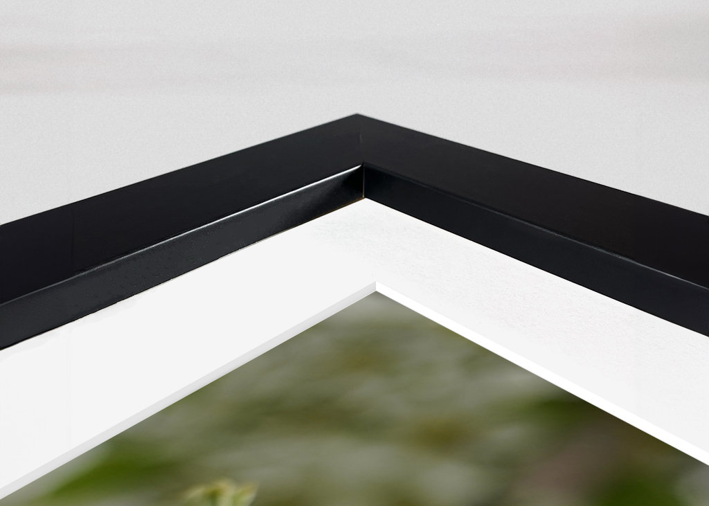 Cseresznye virágzik tavasszal