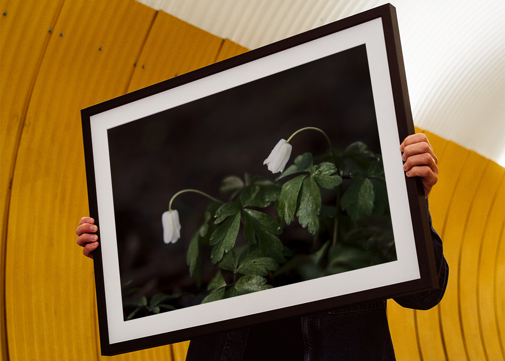 Soothing conversation