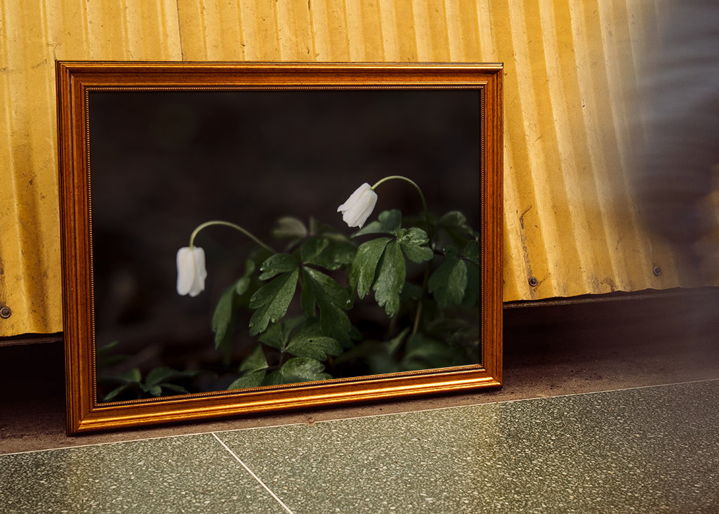 Soothing conversation