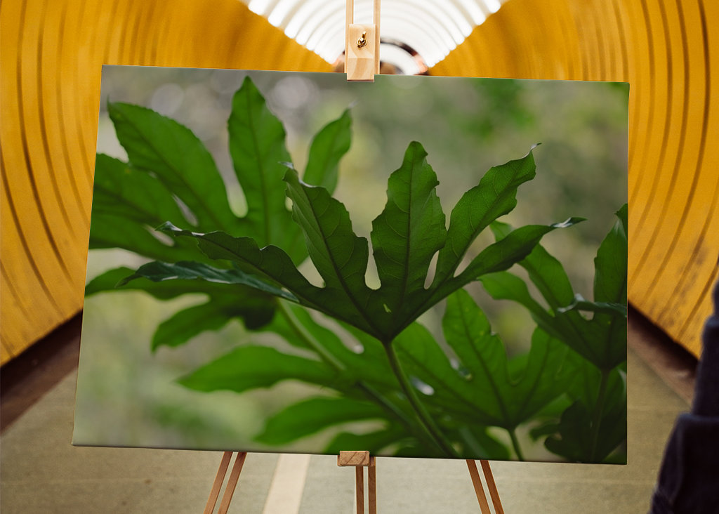 Grüne Pflanzenblätter