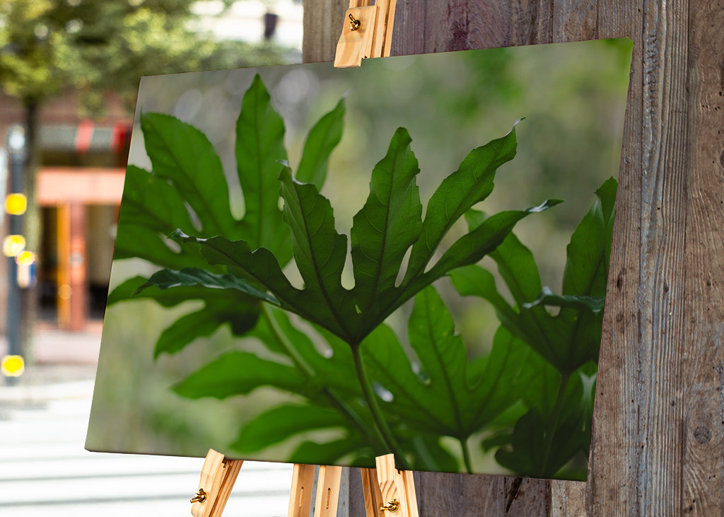 Grüne Pflanzenblätter