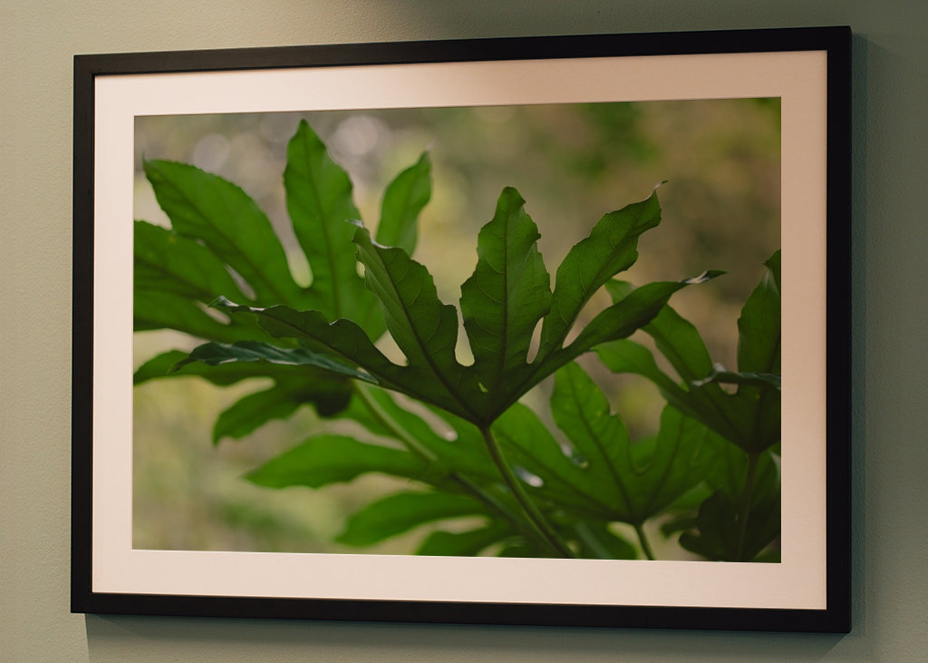 Grüne Pflanzenblätter