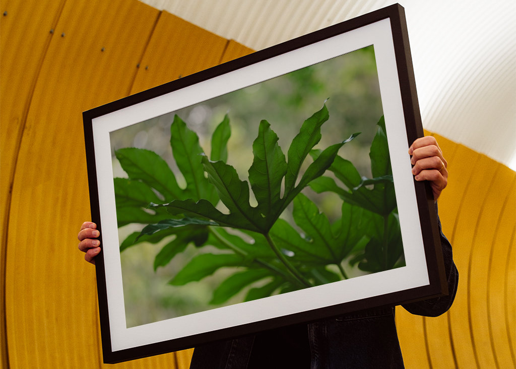 Grüne Pflanzenblätter