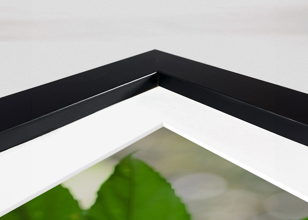 Grüne Pflanzenblätter