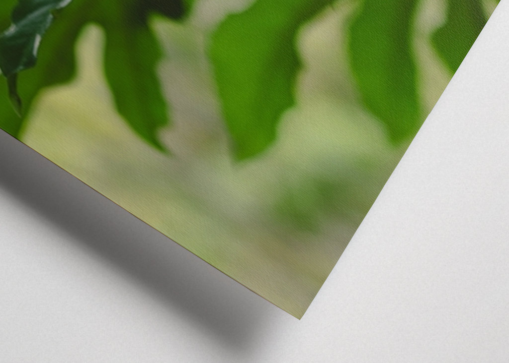 Grüne Pflanzenblätter