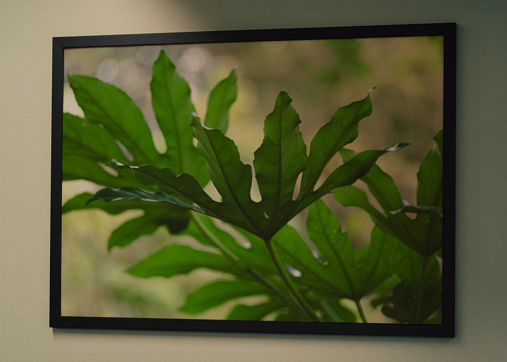 Grüne Pflanzenblätter