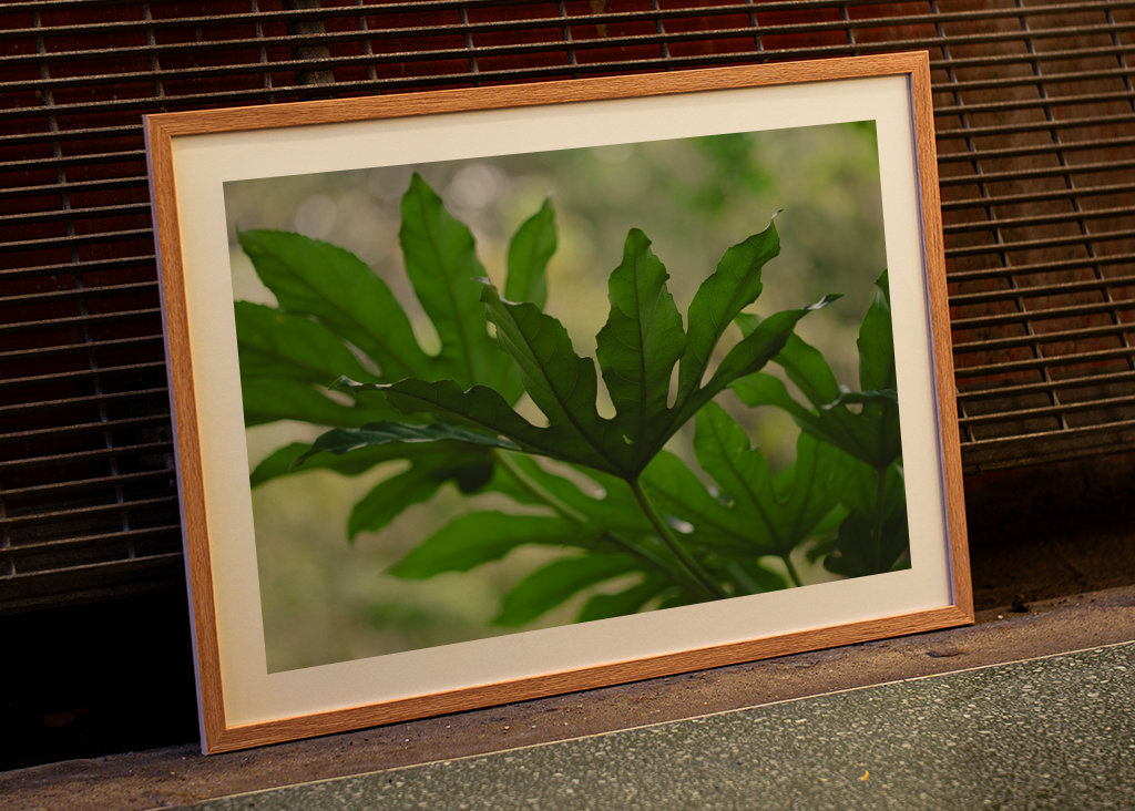 Grüne Pflanzenblätter