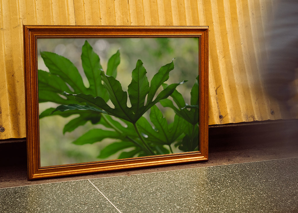 Grüne Pflanzenblätter