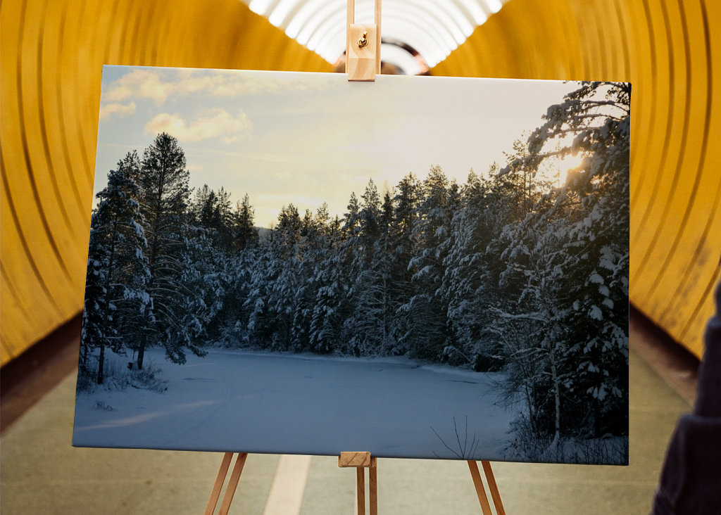 Sunset in Winter Landscape