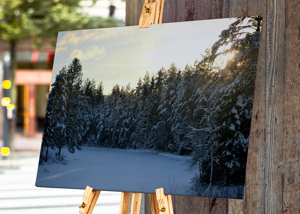 Sunset in Winter Landscape
