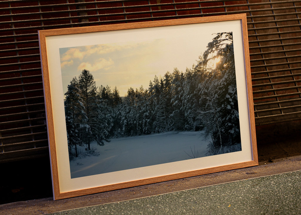 Sunset in Winter Landscape