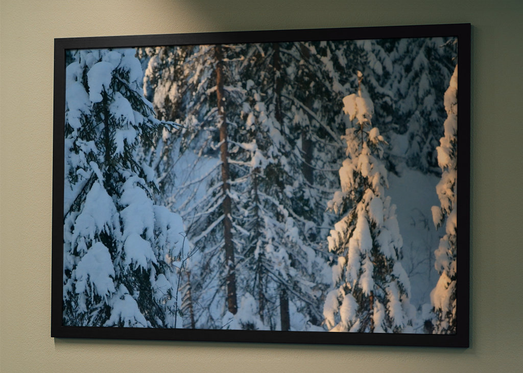 Immagine di dettaglio del paesaggio invernale