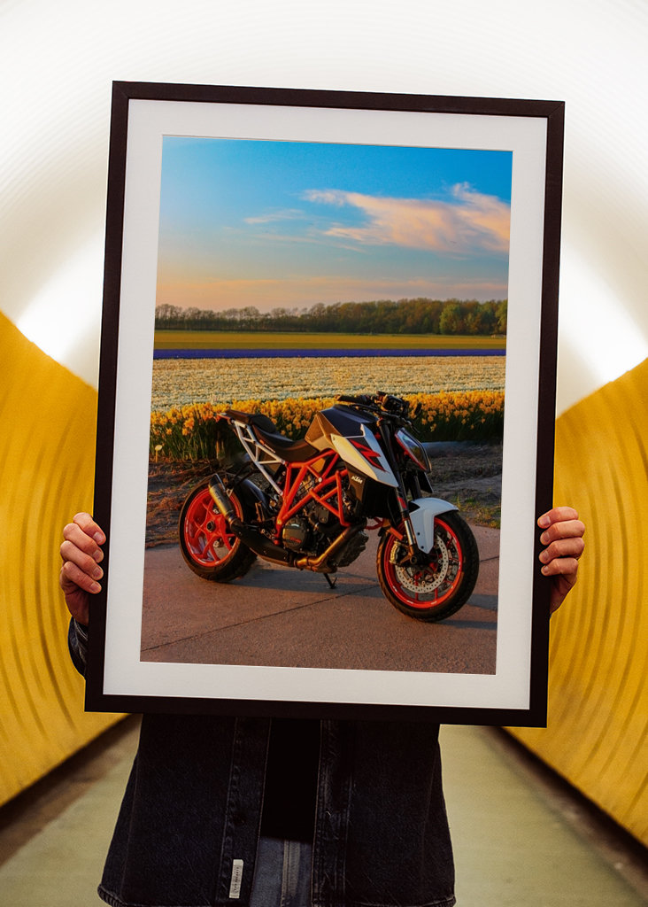 KTM SD1290R Dutch Tulip Fields