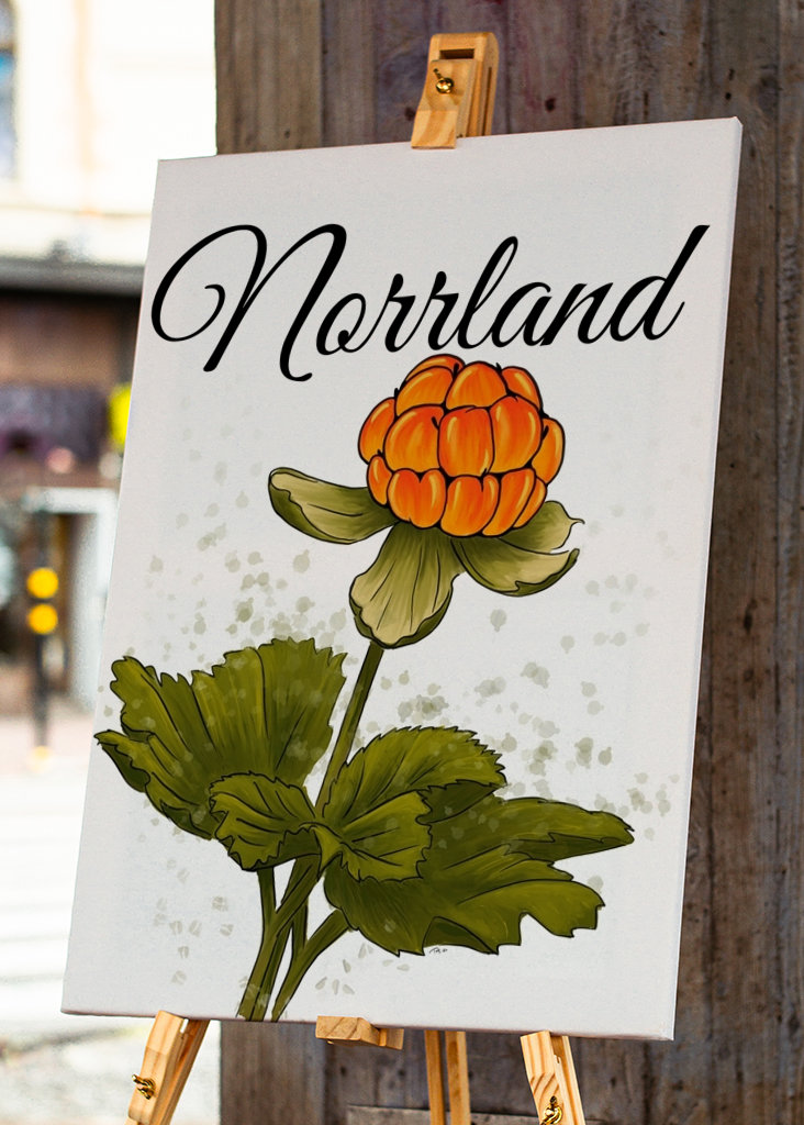 Norrland The cloudberry