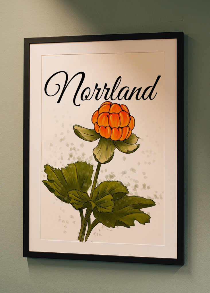 Norrland The cloudberry