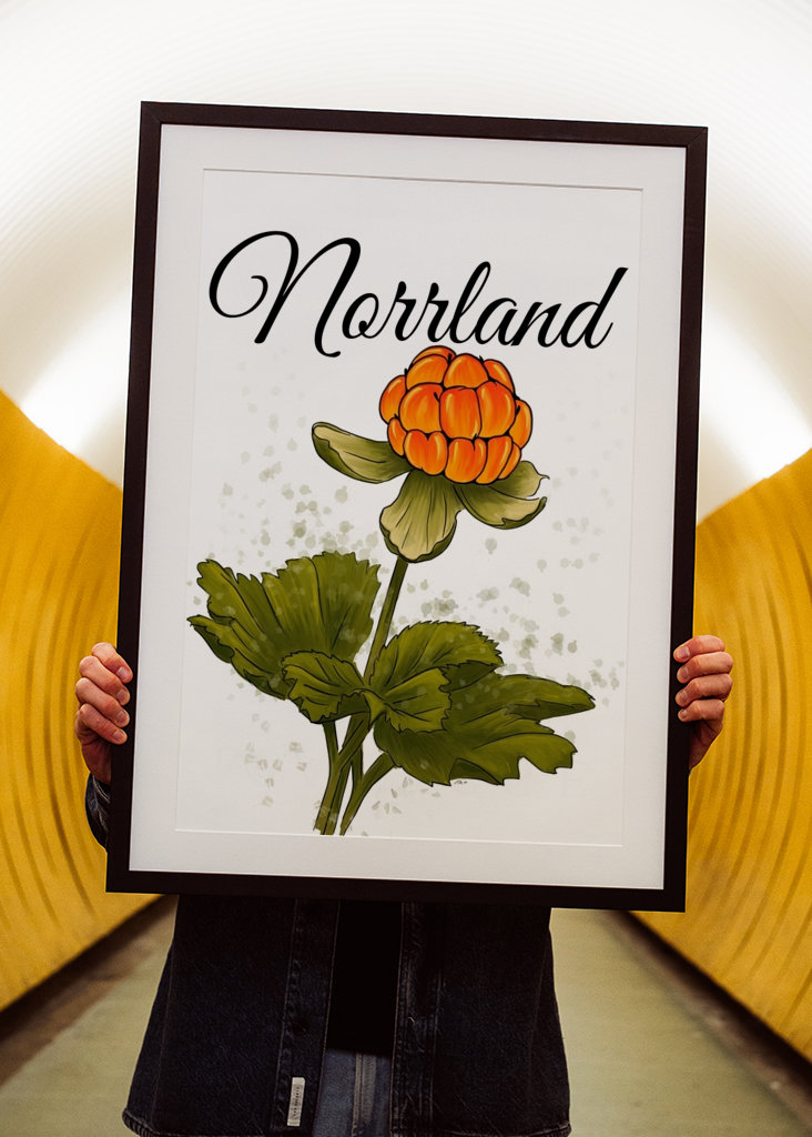 Norrland The cloudberry
