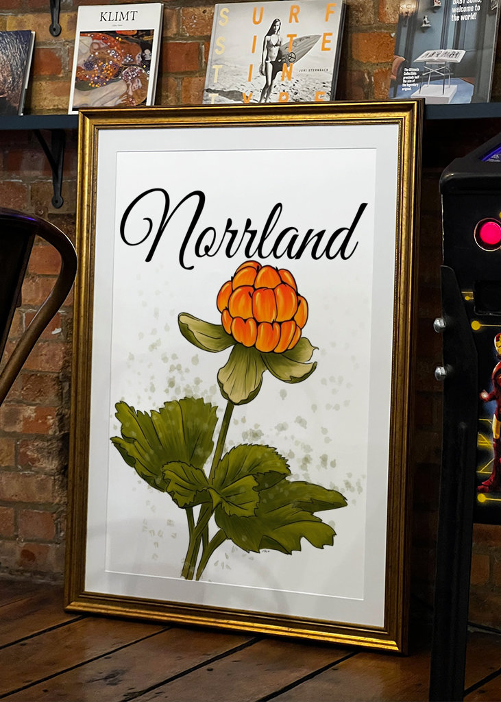 Norrland The cloudberry