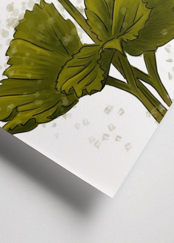 Norrland The cloudberry