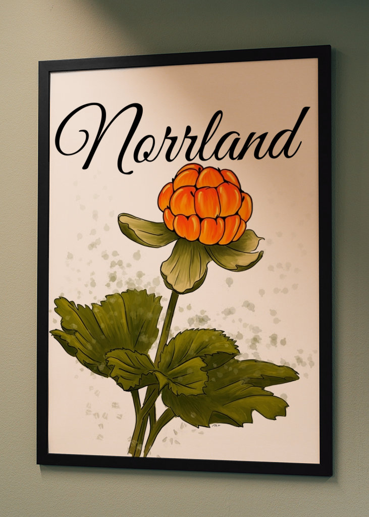 Norrland The cloudberry