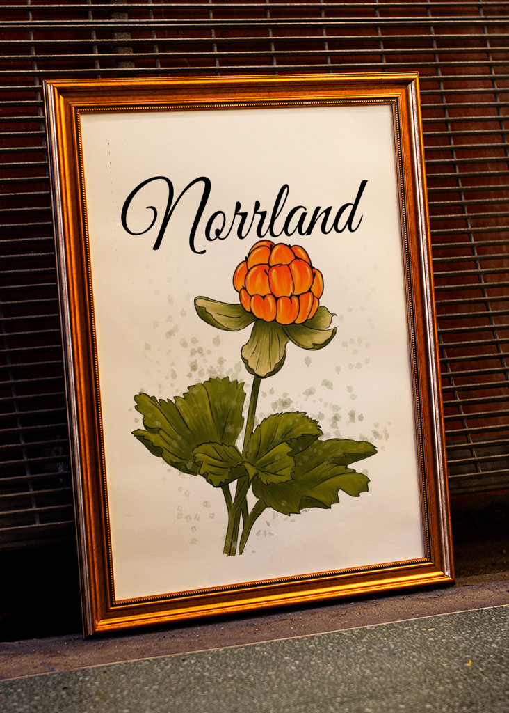 Norrland The cloudberry