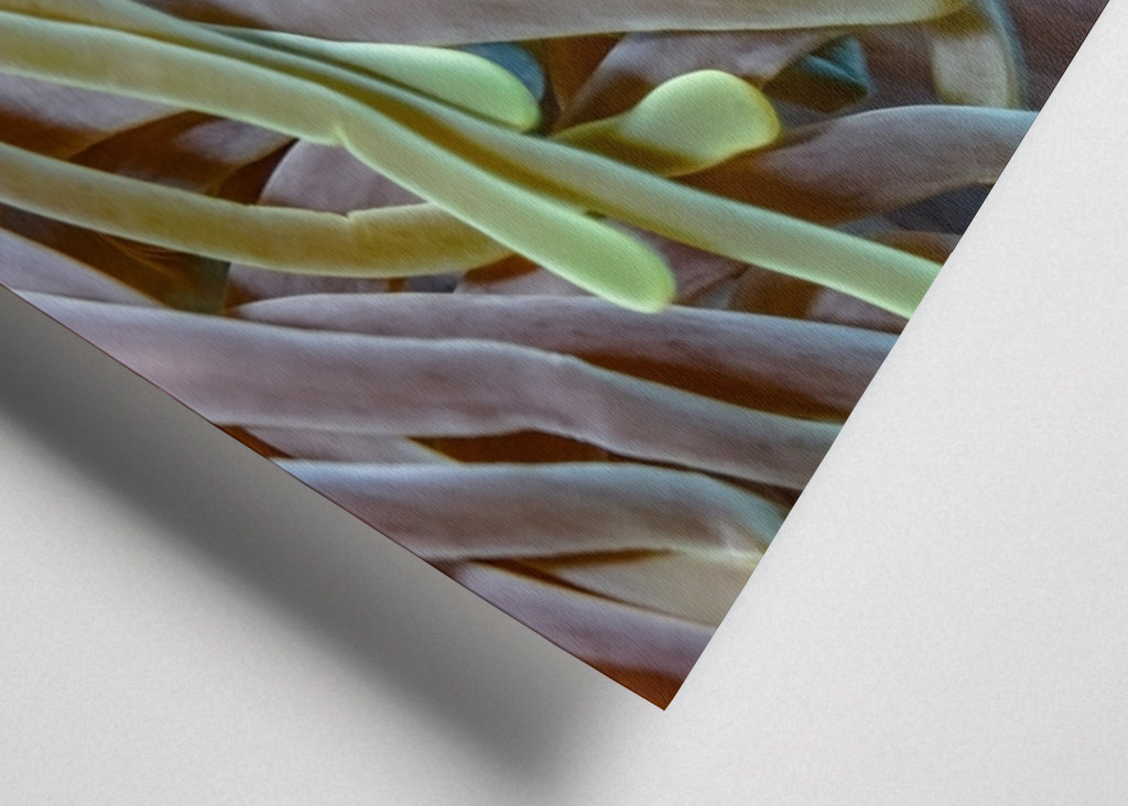 Klaun ve větrném počasí