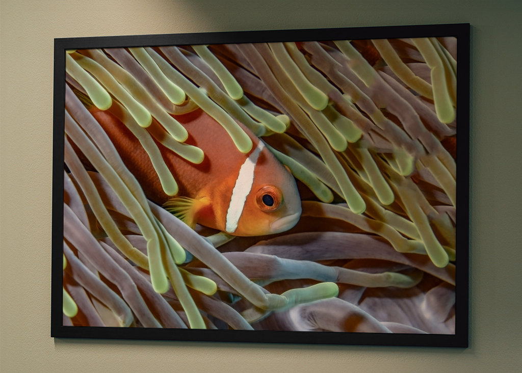 Klaun ve větrném počasí