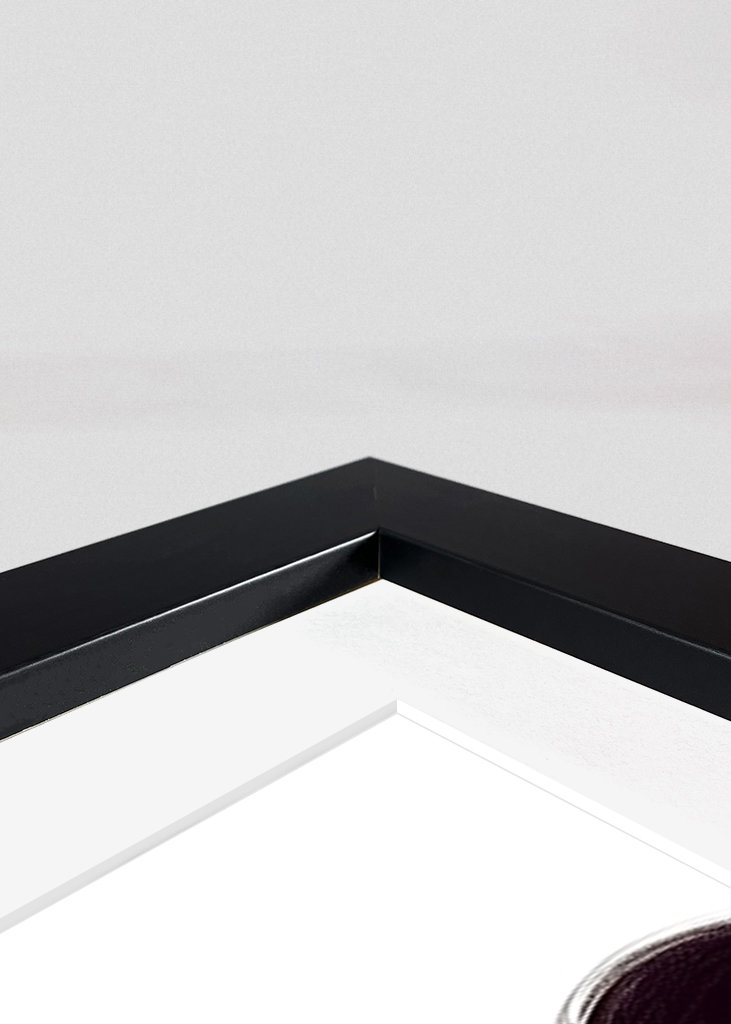 Mimmi och Musse Pigg-tjuvar