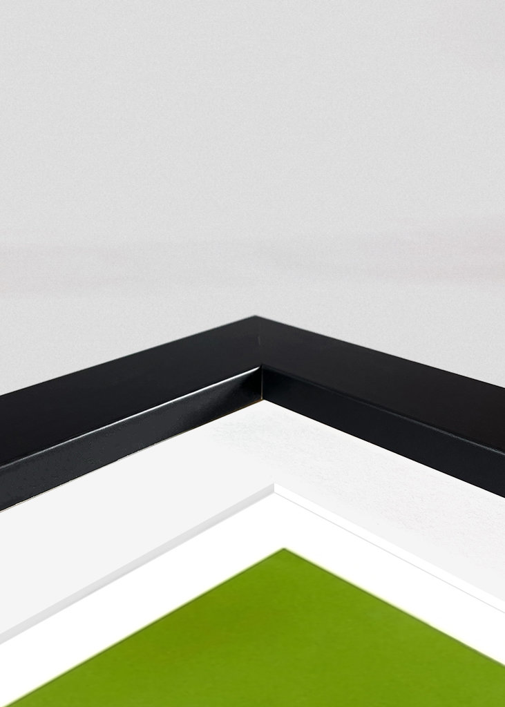 Legendy silničních kol - F. Moser