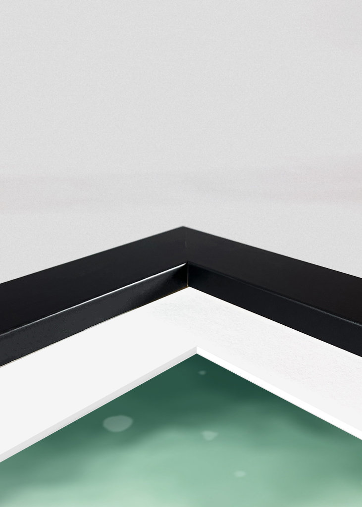 Plant in crystal ball